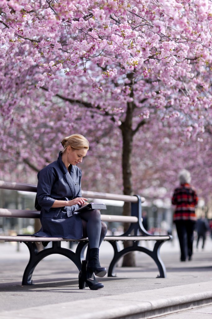 At_the_Bench_Cherry_trees_Kungstradgarden_Photo_Henrik_Trygg_Low-res