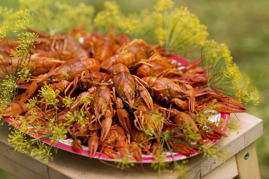 Crayfish Party Carolina Romare imagebank.sweden.se
